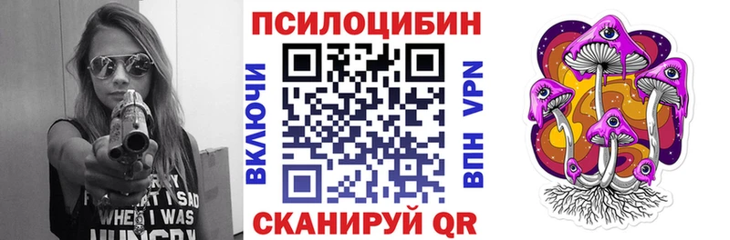 Псилоцибиновые грибы Psilocybe наркошоп Шагонар
