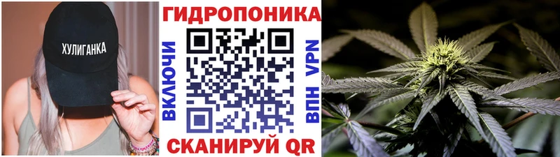 Конопля THC 21% Шагонар